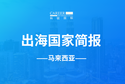EbpayGO GLOBAL | 马来西亚国家简报